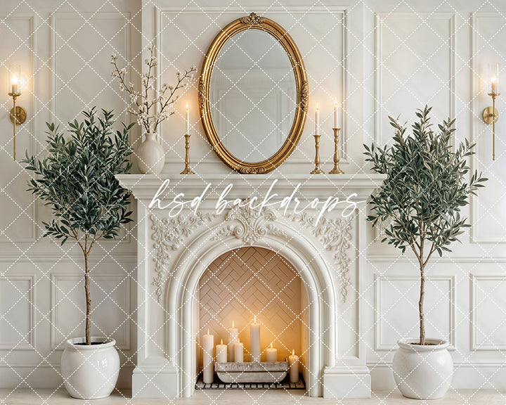 Elegant White Mantel Fireplace Photography Backdrop – Classic European Portrait Scene | HSD Backdrops