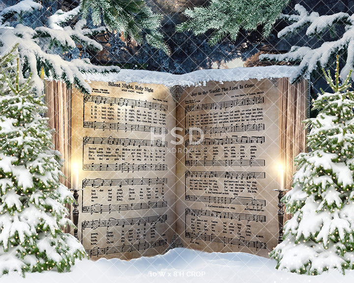 Christmas Carols 10'X8' - RTS - HSD Photography Backdrops 