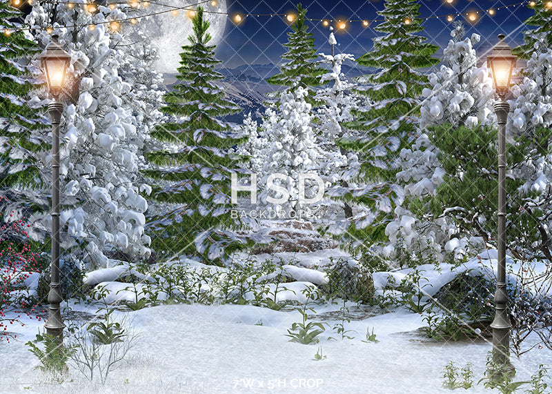 Winter Forest Backdrop with Trees for Winter Wonderland Photos – HSD ...