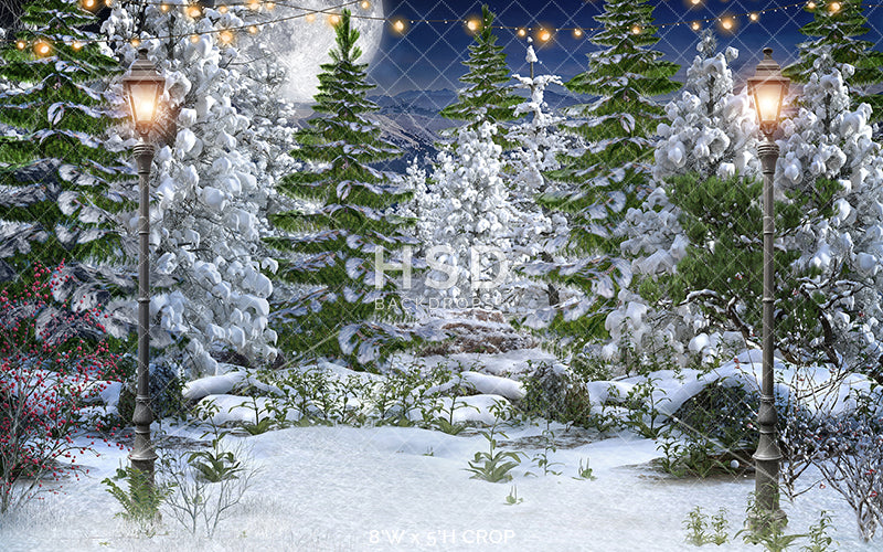 Winter Forest - HSD Photography Backdrops 