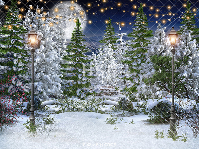 Winter Forest - HSD Photography Backdrops 