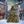 Downtown Christmas Tree - HSD Photography Backdrops 