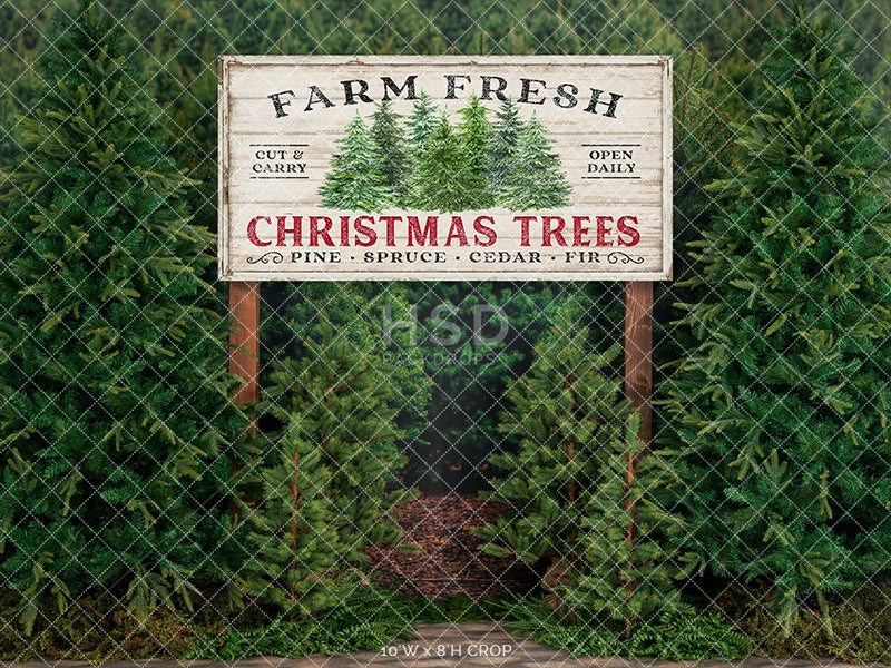Farm Free Christmas Trees - HSD Photography Backdrops 