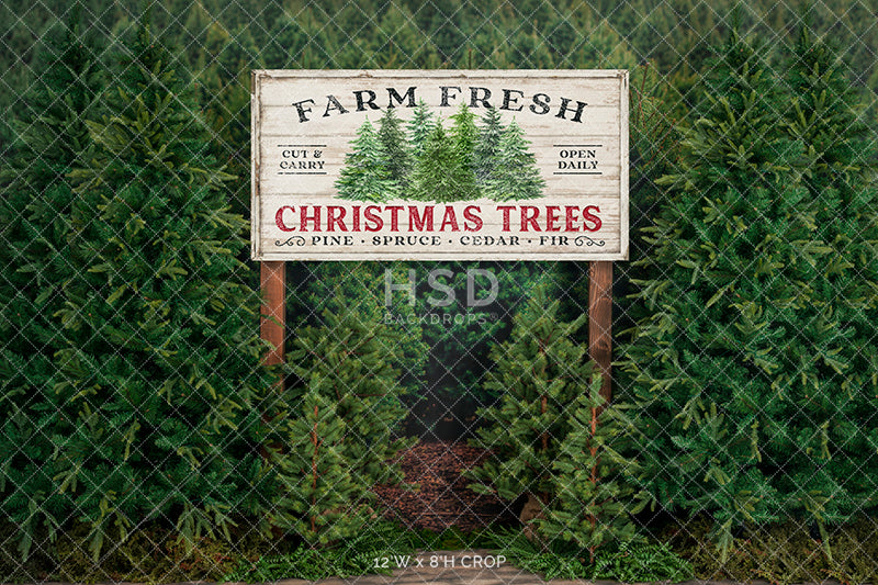 Farm Fresh Christmas Tree Farm Photo Backdrop Photography