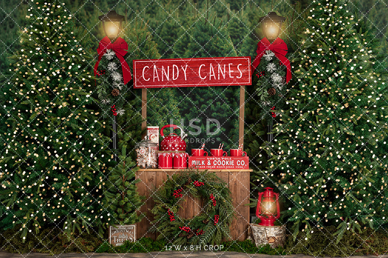 Candy Canes & Hot Cocoa - HSD Photography Backdrops 