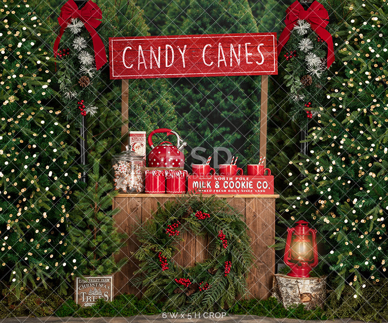 Candy Canes & Hot Cocoa - HSD Photography Backdrops 