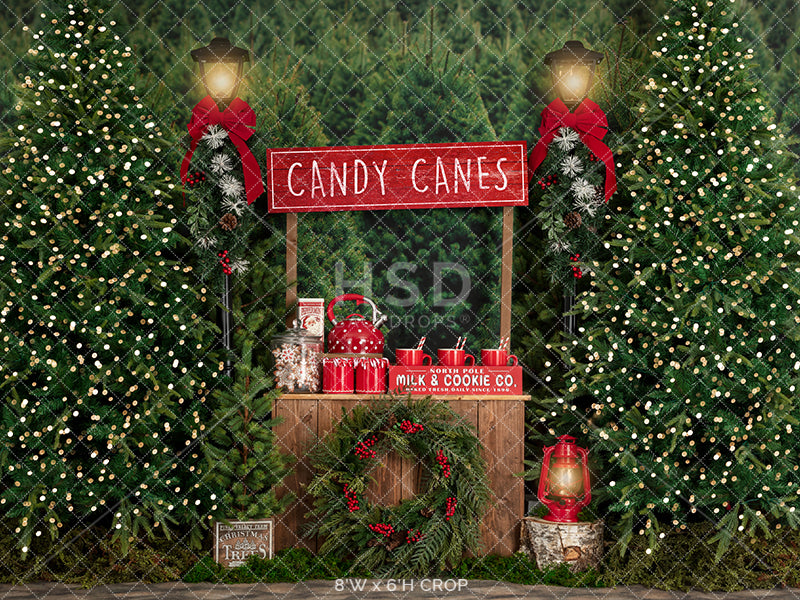 Candy Canes & Hot Cocoa - HSD Photography Backdrops 