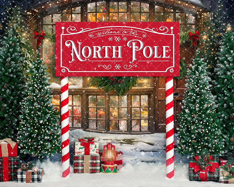 Christmas North Pole Santa's Workshop Backdrop for Photos – HSD ...