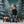 Snowy Spruce Forest - HSD Photography Backdrops 