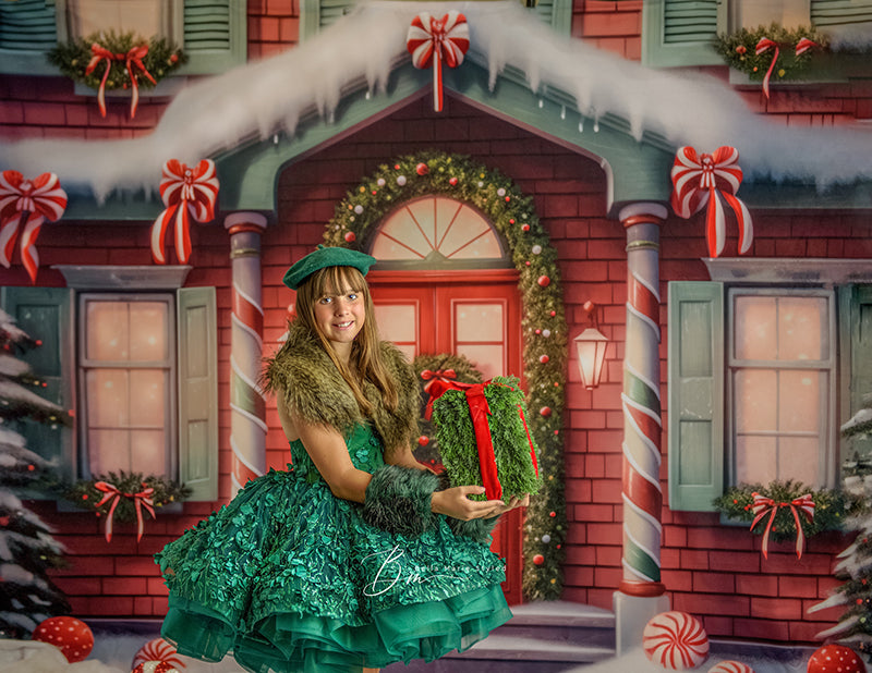 Cute Christmas Cottage - HSD Photography Backdrops 