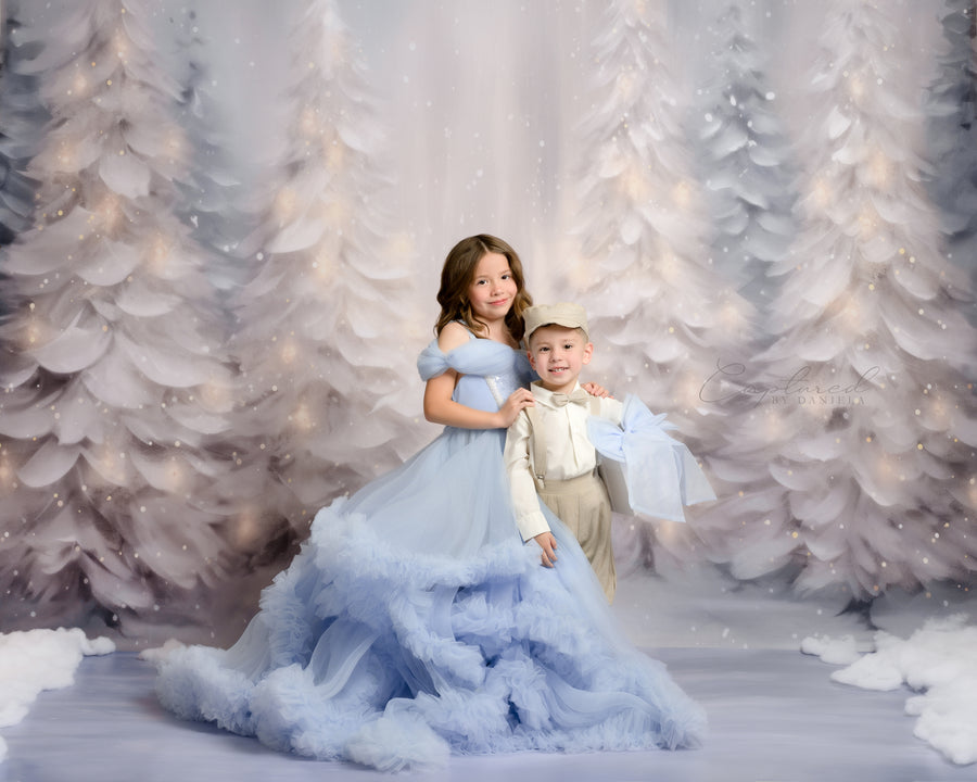 Snowy Winter Scene (sweep options) - HSD Photography Backdrops 