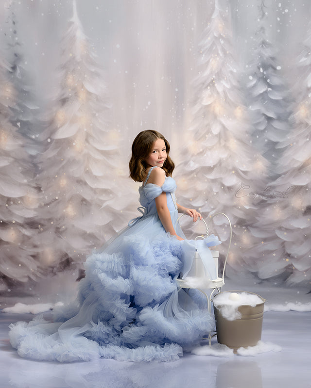 Snowy Winter Scene (sweep options) - HSD Photography Backdrops 