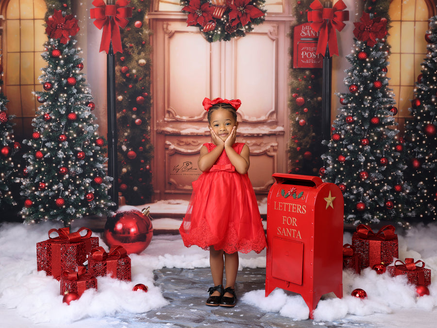 Christmas Hall - HSD Photography Backdrops 
