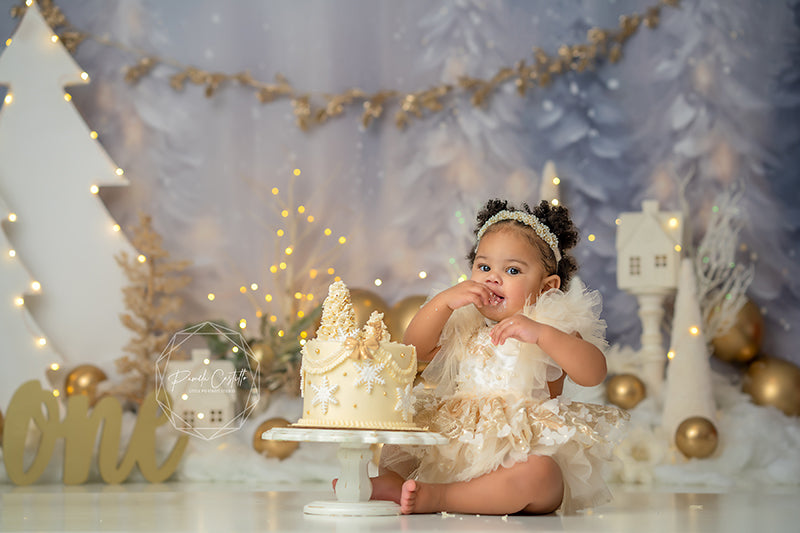 Winter ONEderland Christmas Cake Smash Photo Backdrop for 1st Birthday HSD Photography Backdrops Winter ONEderland Christmas Cake Smash Photo Backdrop for 1st Birthday HSD Photography Backdrops