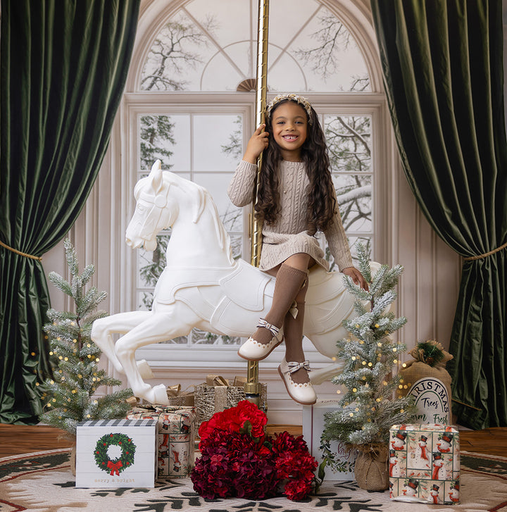 Festive Winter Window (sweep options)