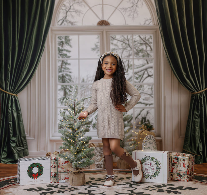 Festive Winter Window (sweep options)