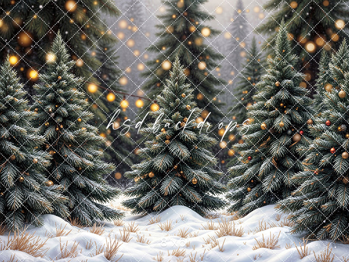 Twinkle Pine Forest (sweep options)