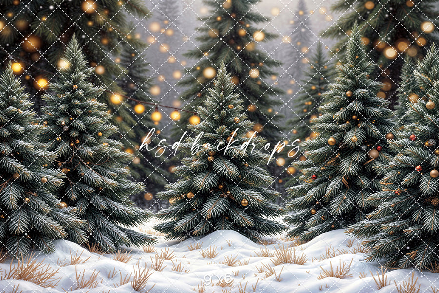 Twinkle Pine Forest (sweep options)