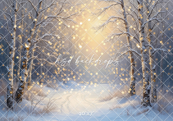Whispers of Winter Light - Bokeh (sweep options)