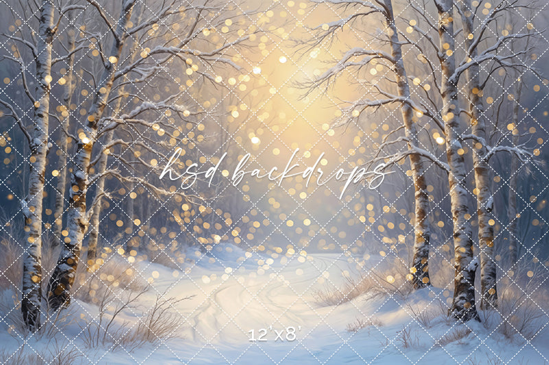Whispers of Winter Light - Bokeh (sweep options)