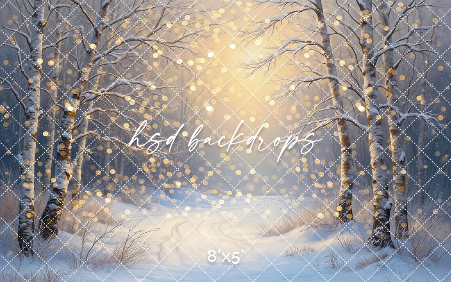Whispers of Winter Light - Bokeh (sweep options)