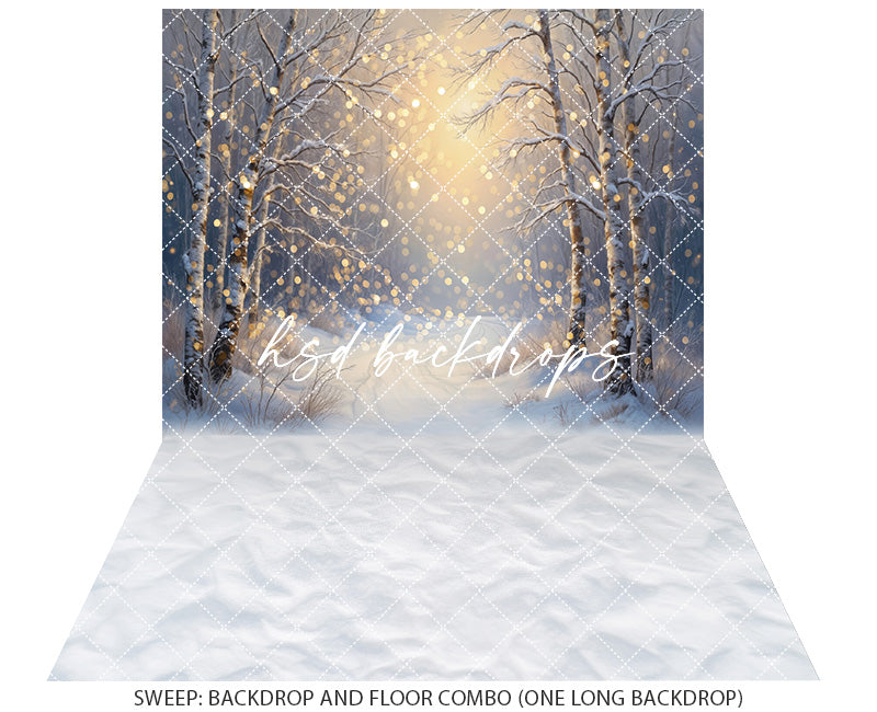 Whispers of Winter Light - Bokeh (sweep options)
