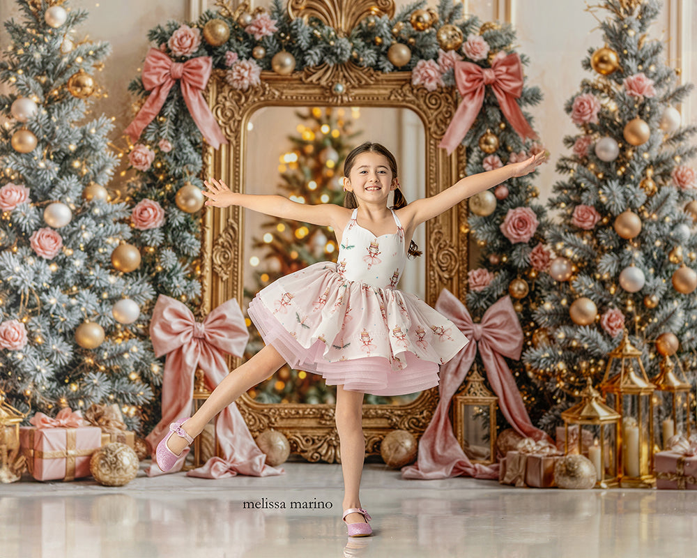 Blush & Gold Gilded Frame * Christmas Photo Background (sweep options)