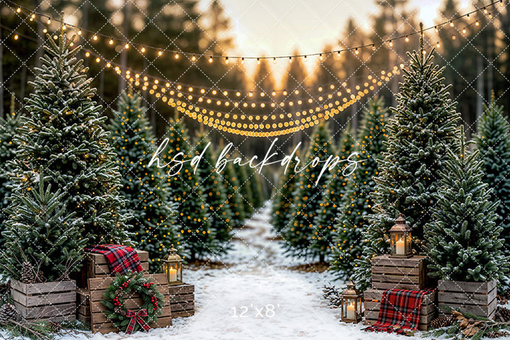 Snowlight Evergreen Lane Photography Backdrop – Festive Seasonal Portrait Scene | HSD Backdrops