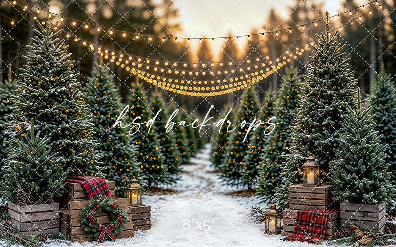Snowlight Evergreen Lane Photography Backdrop – Festive Seasonal Portrait Scene | HSD Backdrops