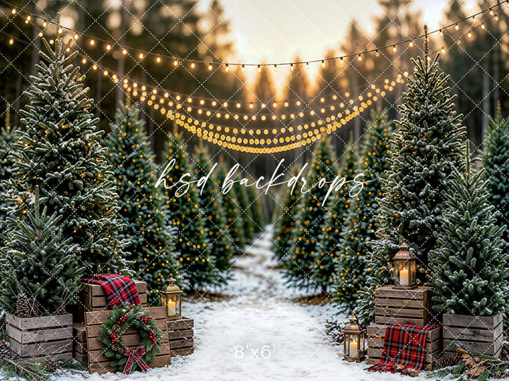 Snowlight Evergreen Lane Photography Backdrop – Festive Seasonal Portrait Scene | HSD Backdrops