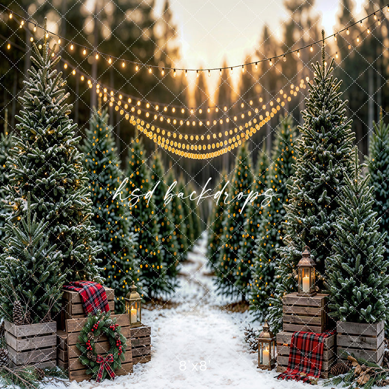Snowlight Evergreen Lane Photography Backdrop – Festive Seasonal Portrait Scene | HSD Backdrops