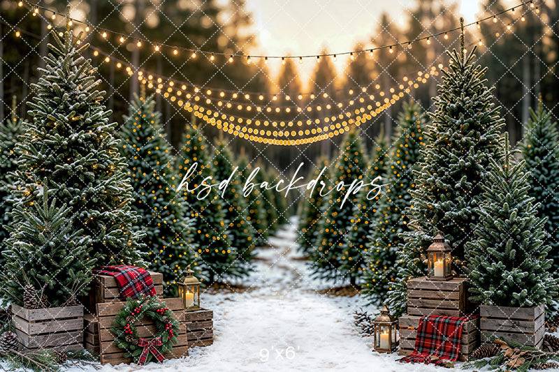 Snowlight Evergreen Lane Photography Backdrop – Festive Seasonal Portrait Scene | HSD Backdrops
