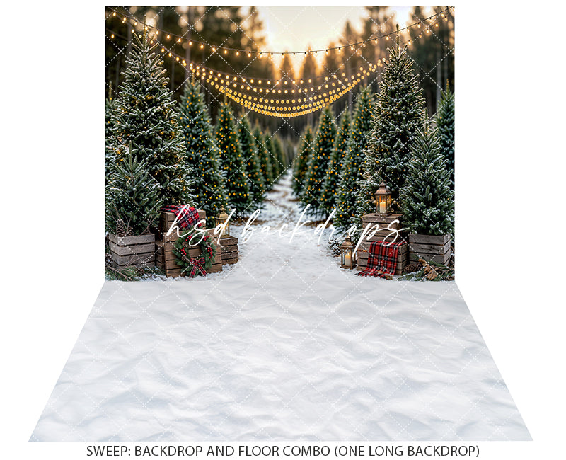 Snowlight Evergreen Lane Photography Backdrop – Festive Seasonal Portrait Scene | HSD Backdrops