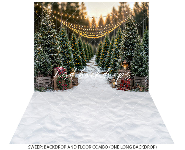 Snowlight Evergreen Lane Photography Backdrop – Festive Seasonal Portrait Scene | HSD Backdrops