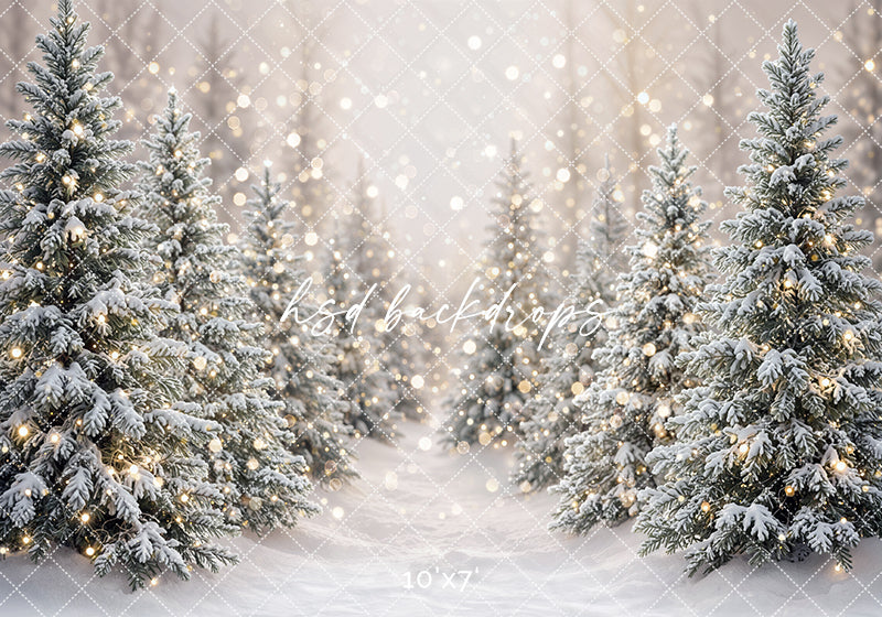 Winter Lighted Evergreens Photography Backdrop – Soft Holiday Portrait Scene | HSD Backdrops