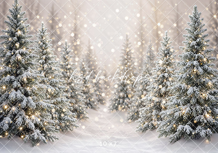 Winter Lighted Evergreens Photography Backdrop – Soft Holiday Portrait Scene | HSD Backdrops