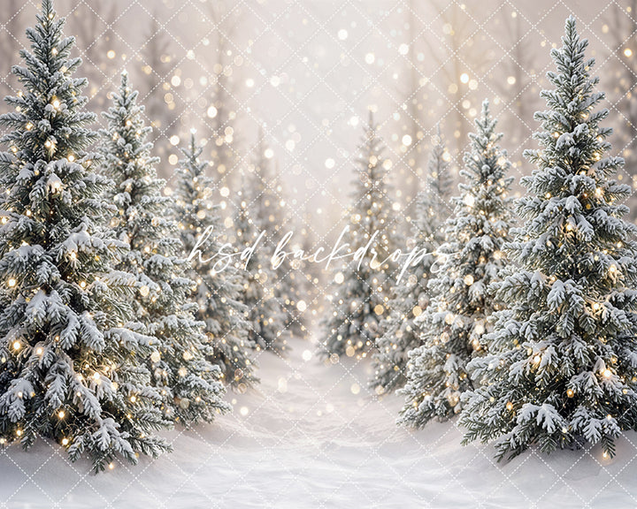Winter Lighted Evergreens Photography Backdrop – Soft Holiday Portrait Scene | HSD Backdrops