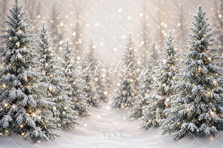 Winter Lighted Evergreens Photography Backdrop – Soft Holiday Portrait Scene | HSD Backdrops