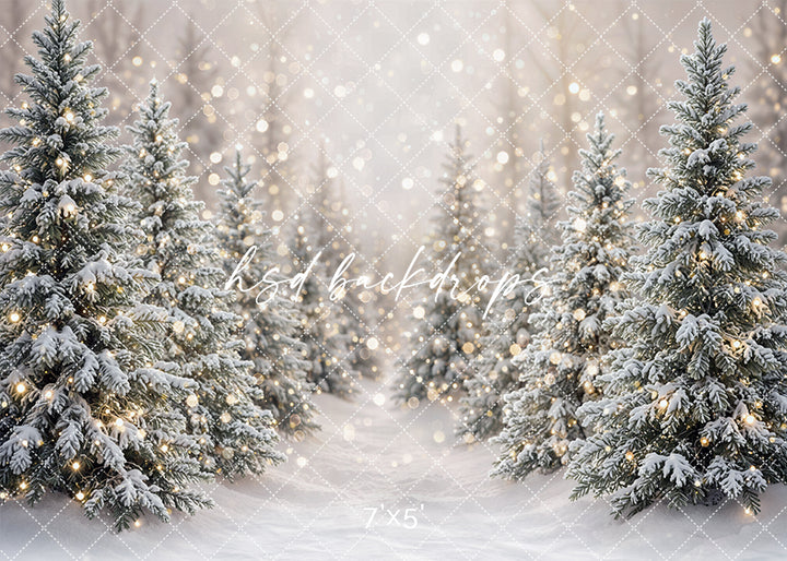 Winter Lighted Evergreens photography backdrop with snow-covered evergreen trees, soft glowing lights, and a peaceful winter path for holiday portrait photography.