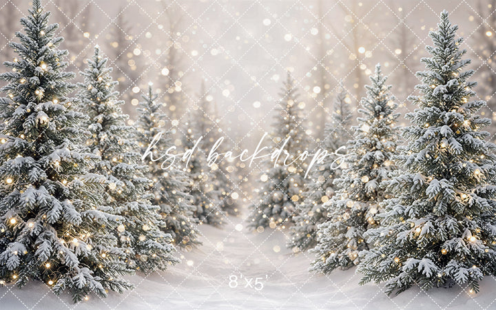 Winter Lighted Evergreens Photography Backdrop – Soft Holiday Portrait Scene | HSD Backdrops