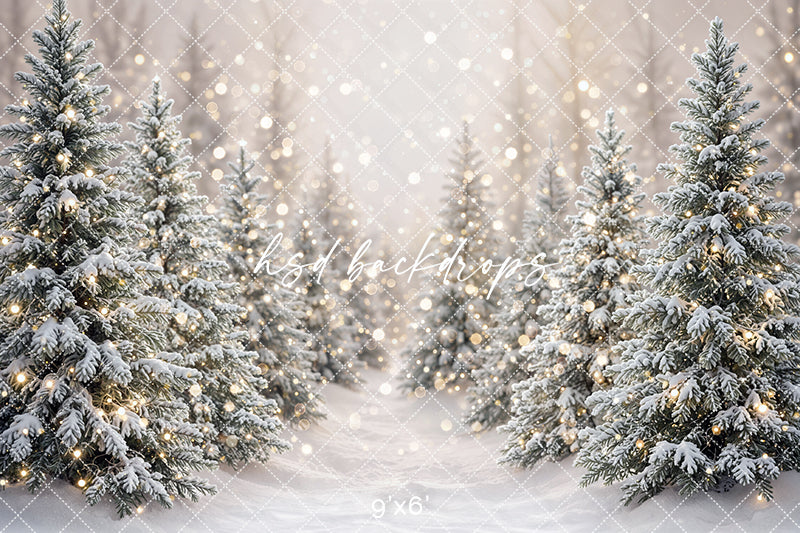 Winter Lighted Evergreens Photography Backdrop – Soft Holiday Portrait Scene | HSD Backdrops