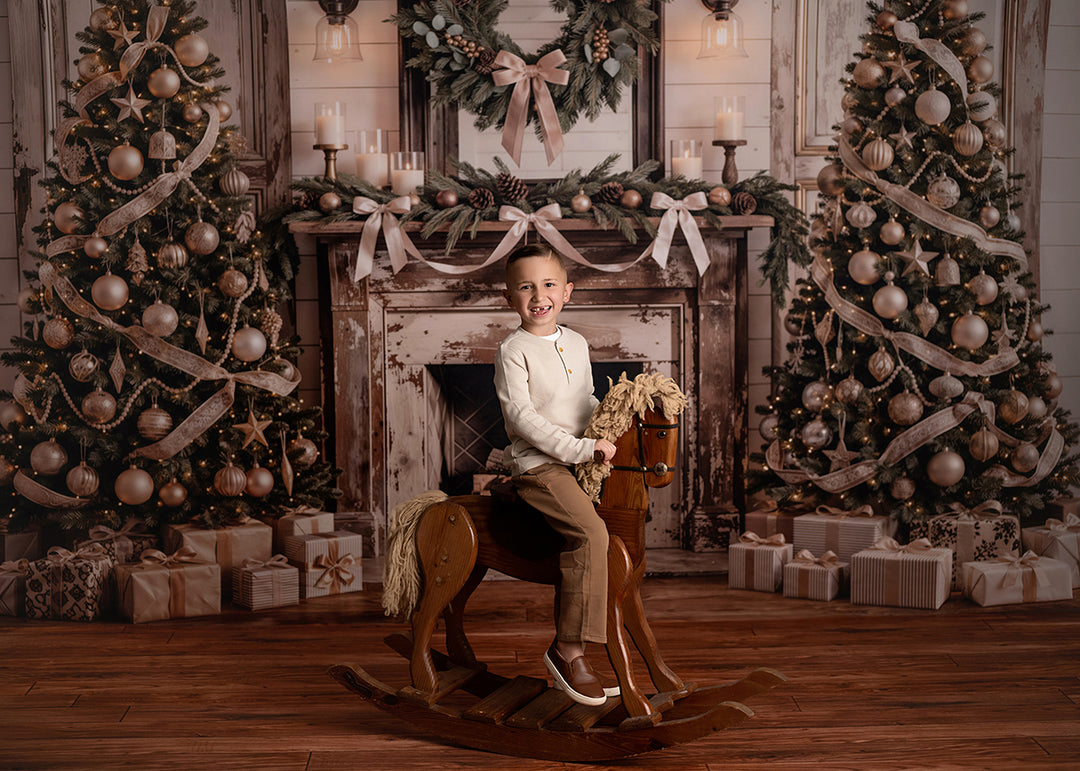 Frosted Farmhouse Fireplace Photography Backdrop – Elegant Christmas Portrait Scene | HSD Backdrops