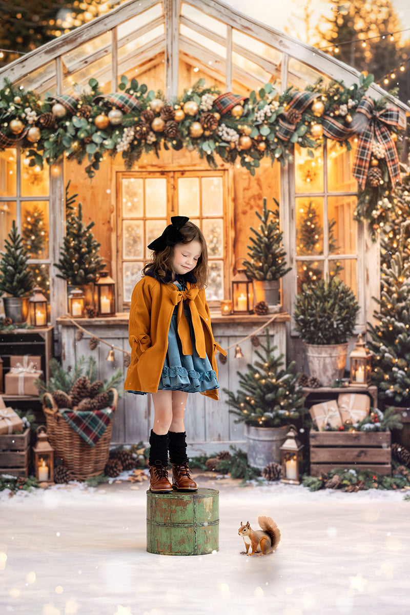 Plaid Garland Greenhouse Photography Backdrop – Cozy Christmas Portrait Scene | HSD Backdrops
