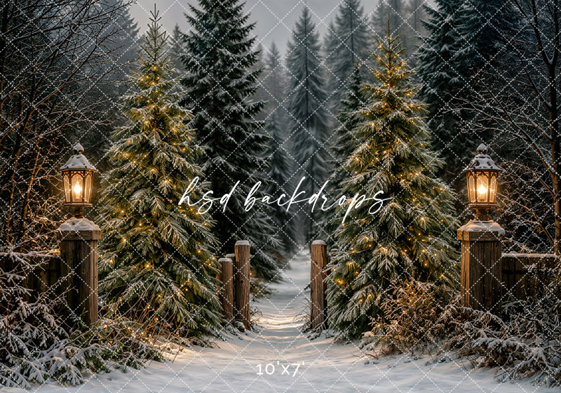 Lantern Lit Christmas Forest Photography Backdrop – Cozy Winter Studio Scene | HSD Backdrops