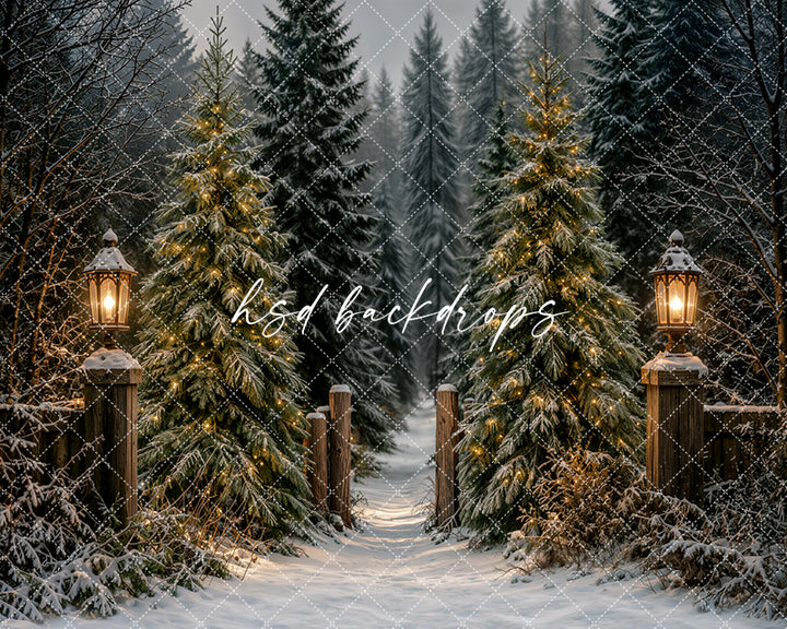 Lantern Lit Christmas Forest Photography Backdrop – Cozy Winter Studio Scene | HSD Backdrops