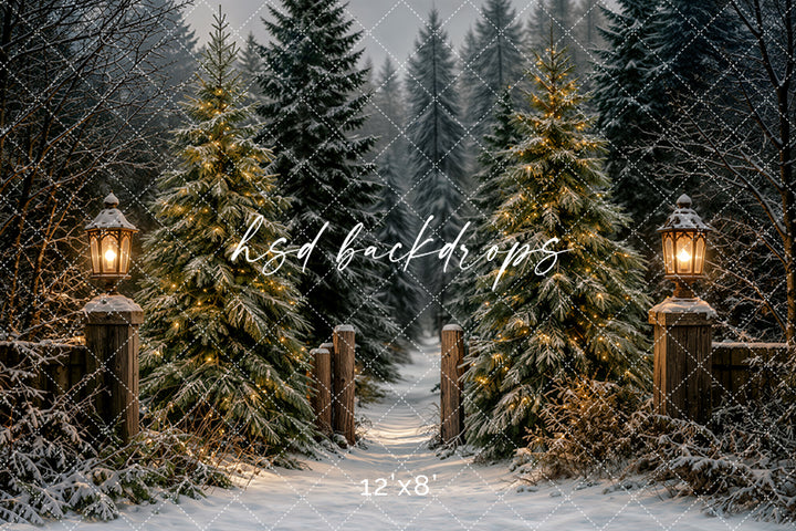 Lantern Lit Christmas Forest Photography Backdrop – Cozy Winter Studio Scene | HSD Backdrops