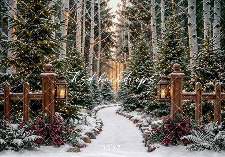 Lantern Lit Christmas Forest Path Photography Backdrop – Snowy Holiday Scene | HSD Backdrops