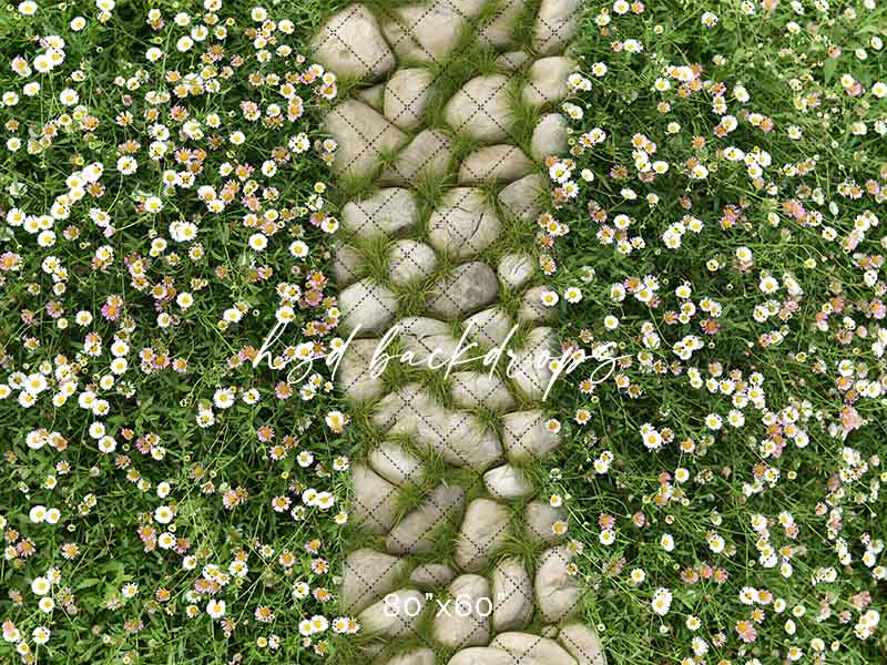 Mossy Stone Walkway - HSD Photography Backdrops 