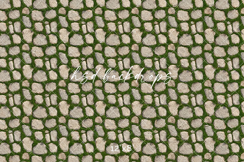 Garden Cobblestone Path – Rustic Stone Floor Backdrop