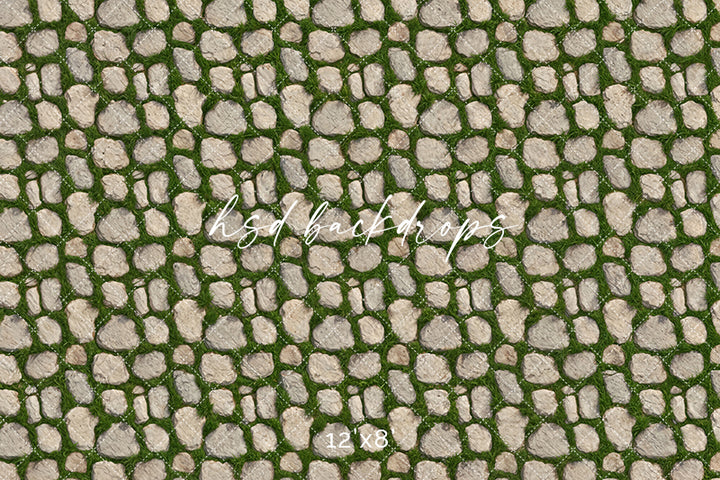 Garden Cobblestone Path – Rustic Stone Floor Backdrop